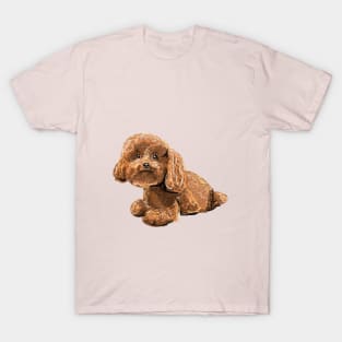 Poodle T-Shirt